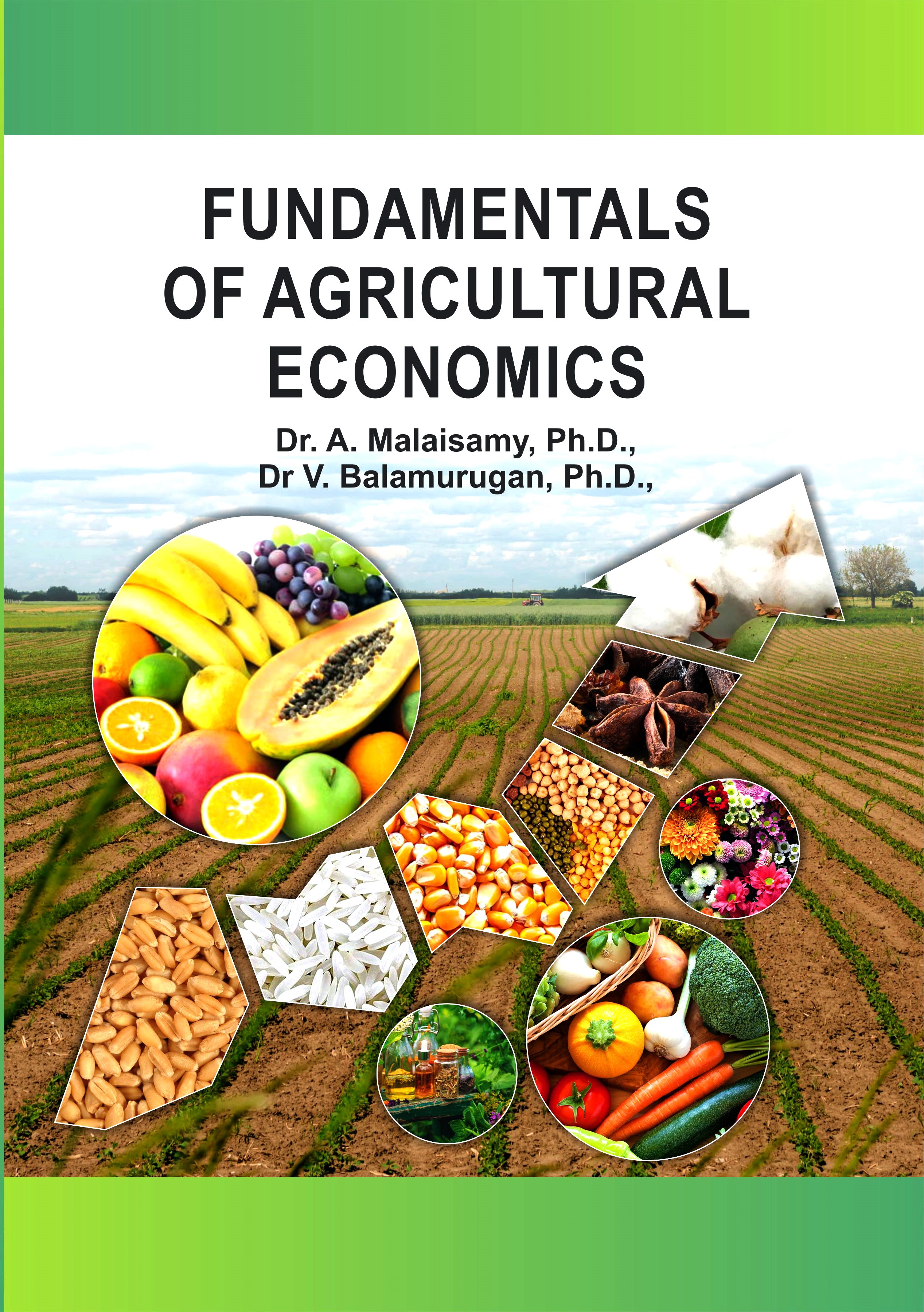 Fundamentals Of Agricultural Economics
